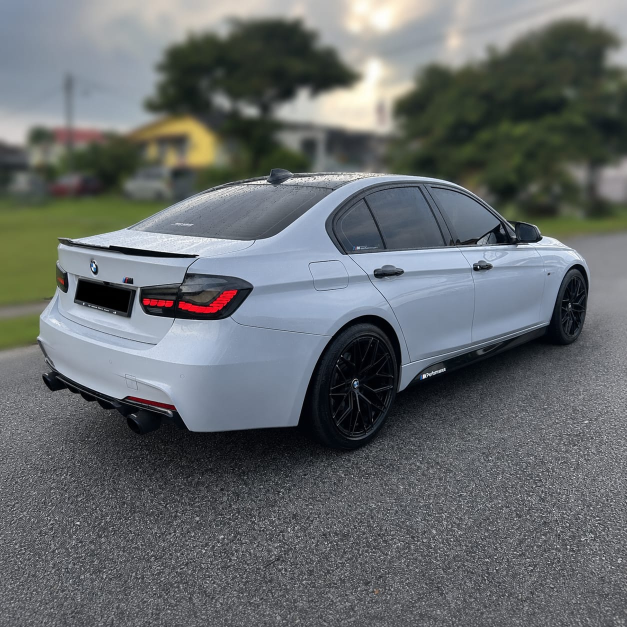 Rear Profile
