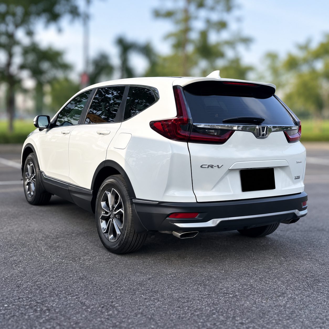 Rear Profile